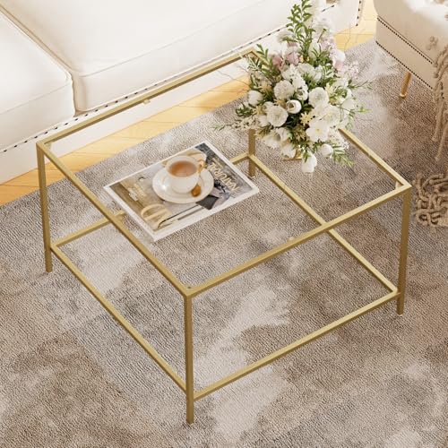 Homleke Glass Coffee Table, Modern Square Coffee Table for Living Room, Minimalist Center Tea Table with Sturdy Metal Frame for Apartment, Office, Easy Assembly, 27.6 x 27.6 x 17.7 Inches, Golden