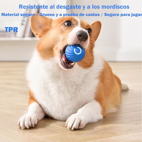 Reviews y listado de Perro interactivo que puedes comprar esta semana. 12 Reviews y listado de Perro interactivo que puedes comprar esta semana. 10