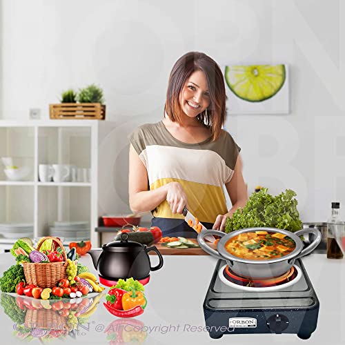 ORBON Heavy Duty Deluxe Electric G Coil Radiant Gas Cooking Stove