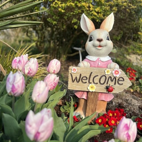 JAnjiaLxY K[fjOG K[fI[ig e { ̒u  F   EFJ K[fjO ^Cv2 K[f G I[ig  u ̒u Aj} D  l킢G