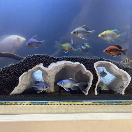 Two Men Convicted in Federal Crackdown on Illegal Whale Part Trafficking 20 Aquarium Decor, 3D Printed Natural Tunnel Pleco Cave, Fish Hideou...