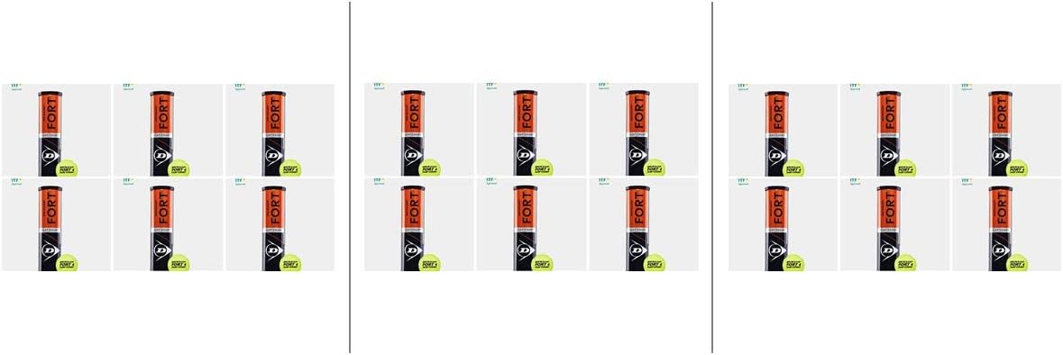 Dunlop Fort Clay Court Tennisball 5 x 4 Dosen 20 Bälle