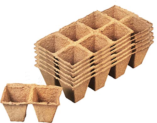 Meister Macetas de 6 x 6 cm – Práctico Set con 48 Unidades – 100% sin turba de celulosa certificada PEFC – Biodegradable/Maceta/Maceta para Semillas/Cultivo de Plantas / 9968260