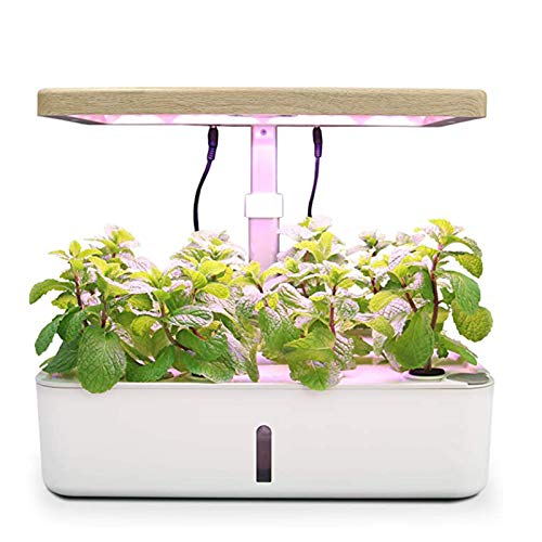 Hydroponic Growing System, Indoor Herb Garden Starter Kit with LED Grow Light, Fan and Water Pump, Smart Hydroponic Planter