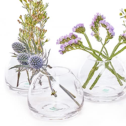 Chive ‘George’ Glass Bottle Flower Vases — Set Of 6 — Small, Elegant Clear Glass Bud Vases — Bulk Pack For Home Decor & Table Centerpieces — Shape 3 (Oval, 3” Tall, 3” Wide) #TOP1