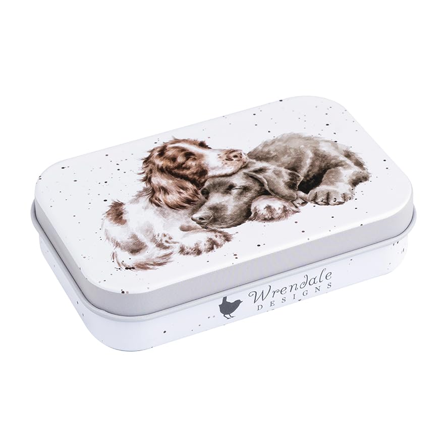 Wrendale Designs 'Growing Old Together' Spaniel und Labrador Miniaturdose, Hund, Metall, 9.5 cm x 6 cm x 2 cm, 114 ccm, Futtermittel für Haustiere, Box