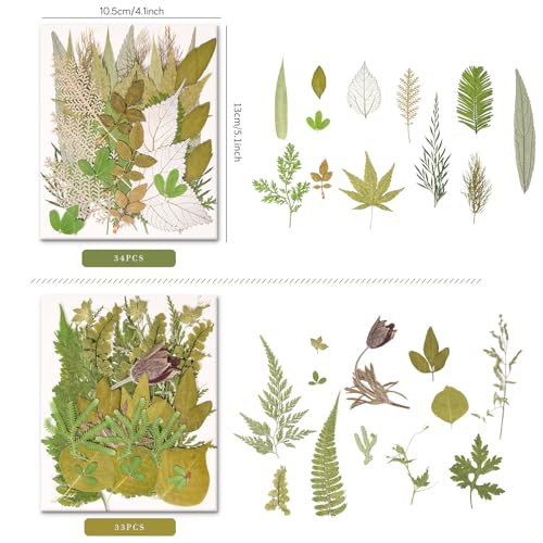 Image of 100 PCS Real Pressed Dried Leaves with Tweezers | Natural Dried Flowers, For Resin, Candle, Jewelry, Scrapbooking & DIY Crafts, Leaves 100