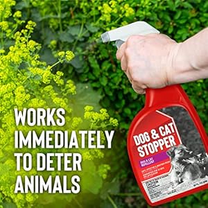 Animal Stopper Liquid Animal Stopper Repellent All Natural Effective All Year Round Safe for People and Pets No Harsh Chemicals Garden Animal Repellent – 32 oz. Trigger