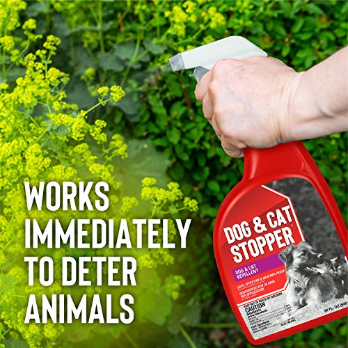 Animal Stopper Liquid Animal Stopper Repellent All Natural Effective All Year Round Safe for People and Pets No Harsh Chemicals Garden Animal Repellent – 32 oz. Trigger Animal Stopper Liquid Animal Stopper Repellent All Natural Effective All Year Round Safe for People and Pets No Harsh Chemicals Garden Animal Repellent – 32 oz. Trigger