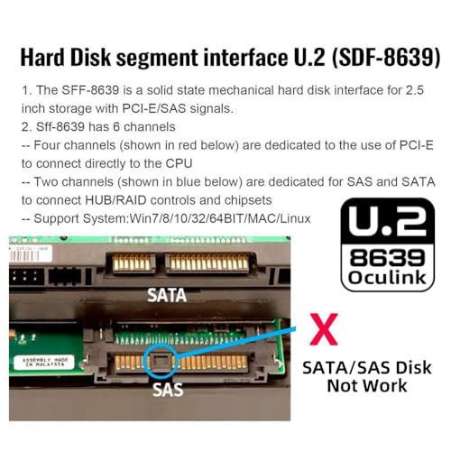 Convertidor SFF-8612 a U.2 U.3 SFF-8639 para SSD NVME miniatura 5