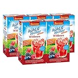 Milford kühl & lecker active Wildbeere, 20 Teebeutel / 5er Pack