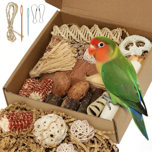 ZooVibe Bird Toys Parrot Natural Foraging Box Parakeet Toys DIY Hanging String for Cockatiels Conures Love Birds and Other Small to Medium Birds Cage Accessories (Medium)
