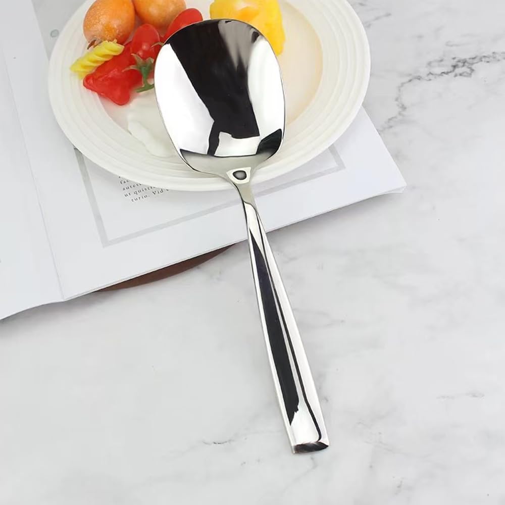 Premium 316L Stainless Steel Large Serving Spoon – 9.5 Inch Buffet Spoon, Mirror Finish (1 Pack)