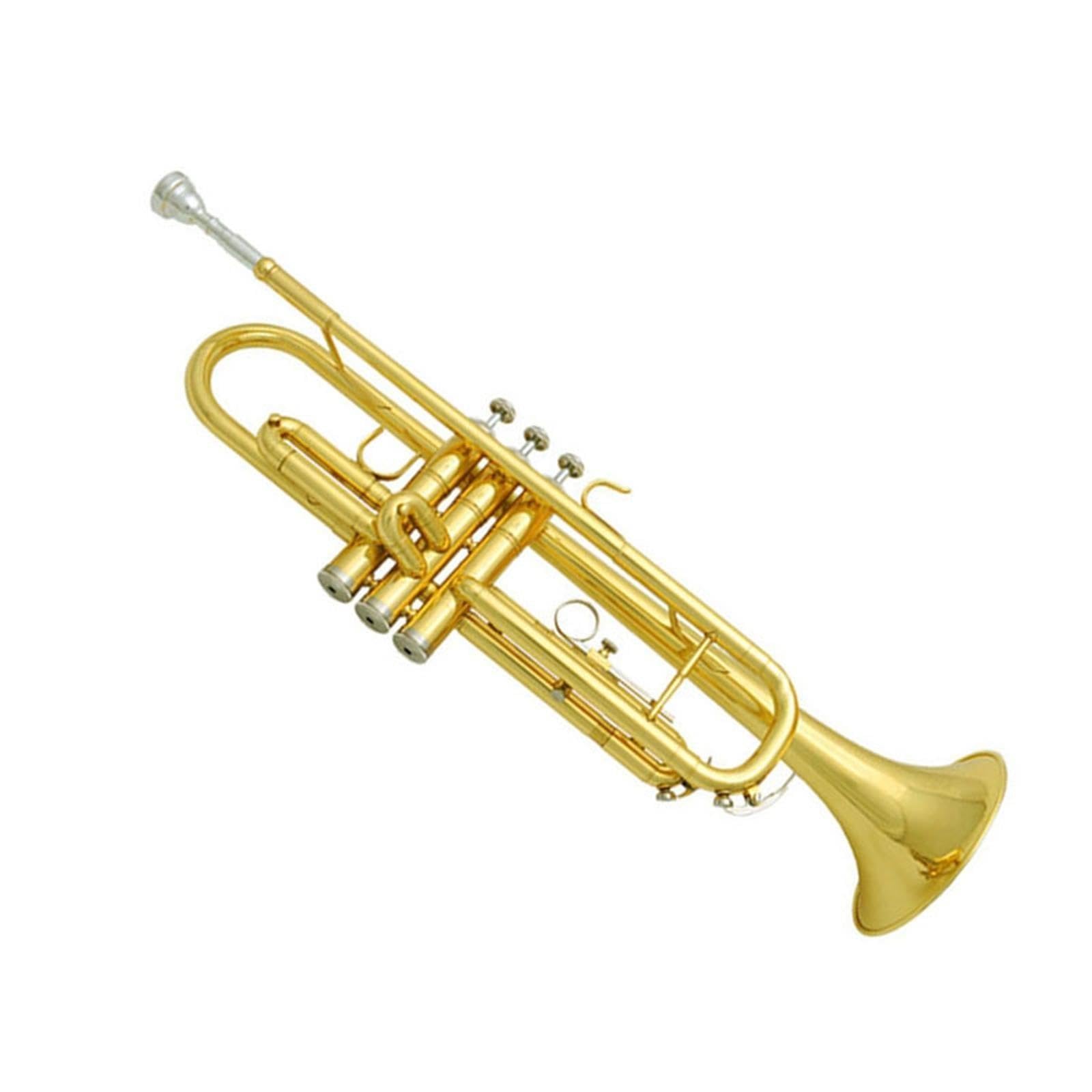 Adult Trumpet Trompette en si bémol pour débutant