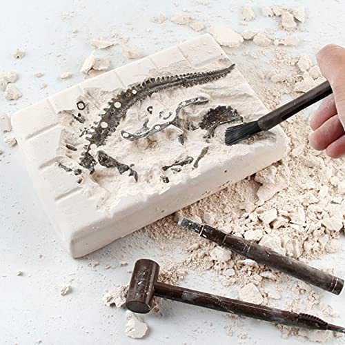 Dinosaurier Ei Archäologische Ausgrabungsspielzeug Realistische Dinosaurier Modell Lernspielzeug Geschenk Vorschule… – Bild 7