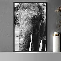 Framed Canvas Wall Art Duotone Elephants Animals Black and White Bohemian Duotone Elephants Expressive Grey Living Room Photography - 16x24 inches
