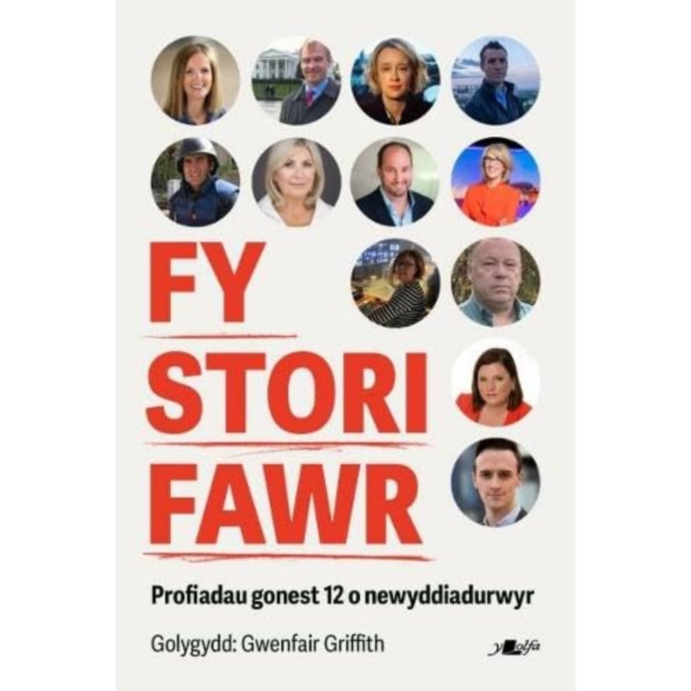 Fy Stori Fawr