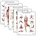 Anatomy Lab 5 PACK Anatomy Poster, LAMINATED, Muscular, Skeletal, Yoga, Stretching, and Pilates, Anatomy and Physiology Poster, 17.3 x 22.5 Inches, Muscles Diagram, Stretching Exercise Chart, Made