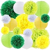 Green Yellow Tissue Paper Lanterns Decorative Flowers Pom Poms Party Decorations, 18 pcs