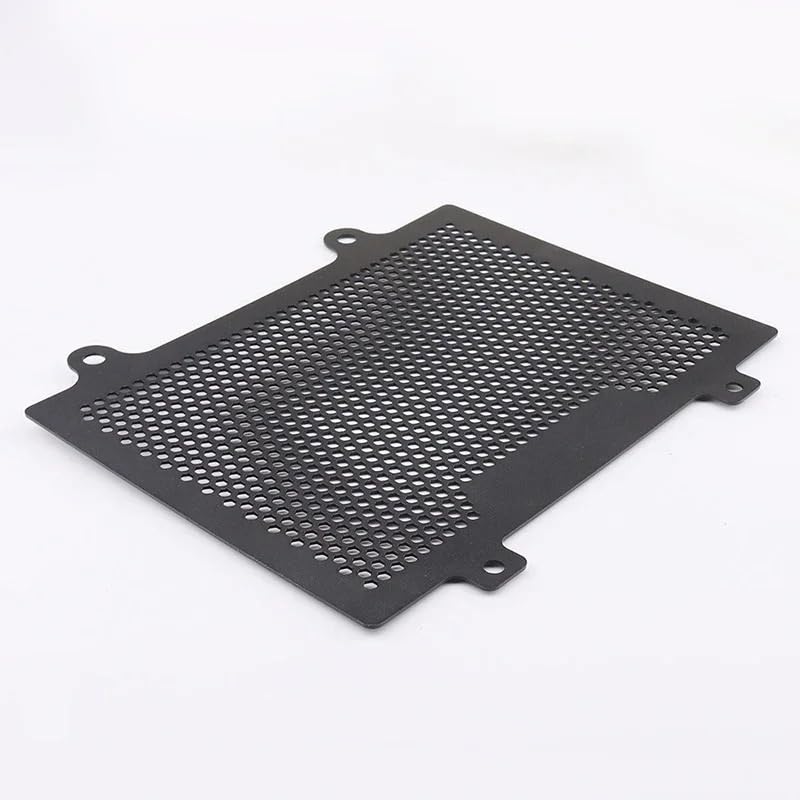 Grille protection radiateur contre les projections pour moto G310R 2018