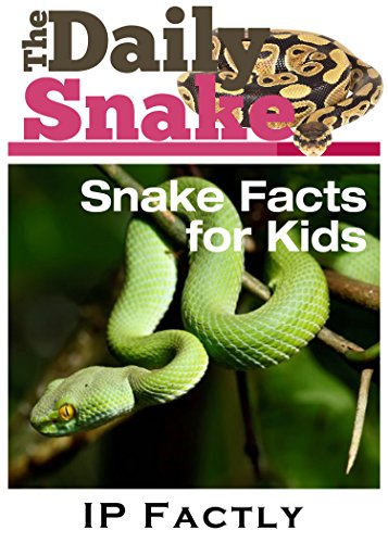 The Daily Snake – Facts for Kids – Great Images in a Newspaper-Style – Snake Books for Children (Newspaper Facts for Kids Book 5)