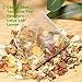 Plant Gift Oil Cut Big Belly Tea Bag 8 Imagen de Plant Gift Oil Cut Big Belly Tea Bag 8
