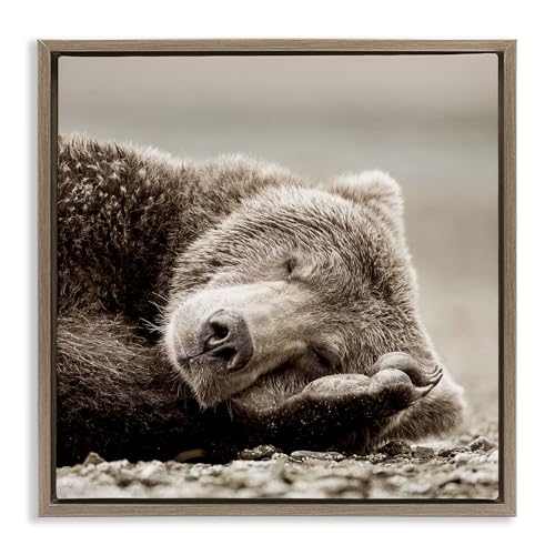 Stupell Industries 'Cozy Sleeping Bear'| Floating Frame Canvas Art