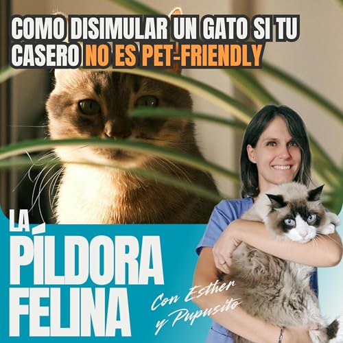504. Como disimular un gato si tu casero NO ES PET-FRIENDLY cover art