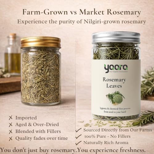 Image of YAARA Premium Rosemary Leaves Organic, Dried Rosemary Leaves for Hair Growth, Seasoning, Cooking, Herbal Tea, Hair Oil, Reduce Hair Fall (50Gram)
