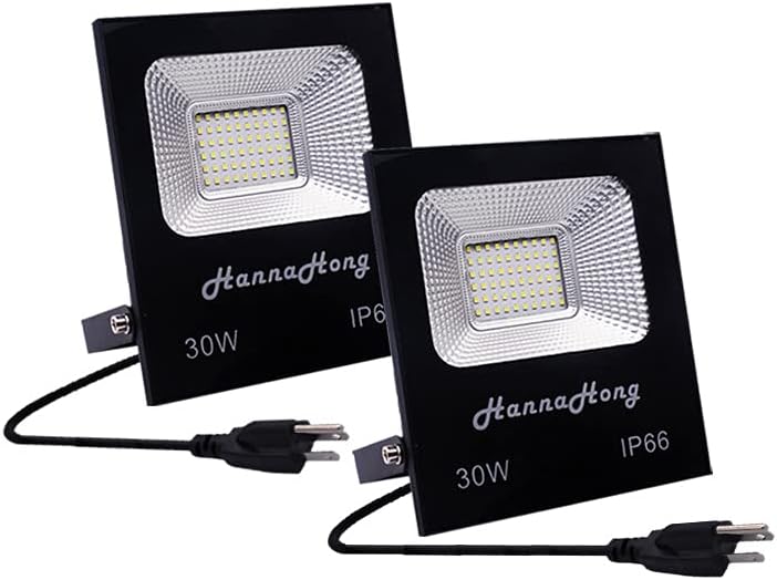 HANNAHONG 2 Pack 30W LED Flood Lights with Plug,3000lm Super Bright Security Lights,IP66 Waterproof Outdoor Work Light,6000K Daylight White Spotlight for Eave,Porch,Garage,Patio,Yard,Garden,Lawn