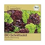 Samenliebe BIO Salat Samen | Schnittsalat bunte Mischung - Mix - samenfestes BIO Saatgut