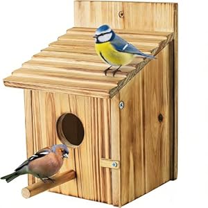 Bird House for Garden, Large Wooden Hanging Birdhouse for Small Wild Birds, Bird Box for Mockingbirds,Hummingbirds, Parrots, Bluebirds