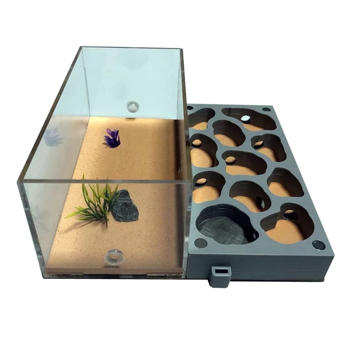 Granja De Hormigas Hormigón Hormigueros Acrilico Hormiga Nido Kit Área Alimentación Insect Nest Hábitat AntHouse Hormiguero Juguete Educativo para Niños