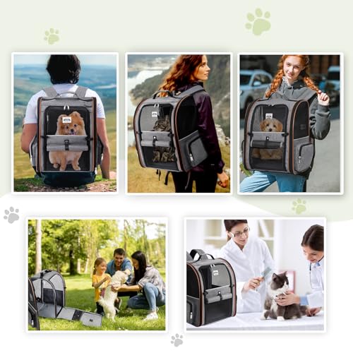 Lekespring Katzen Rucksack Hunderucksack für Große Katzen Hunde bis 12kg, Erweiterbar Faltbare Haustier Rucksack mit Innerer Sicherheitsleine und Haustiermatte, Grau-XL