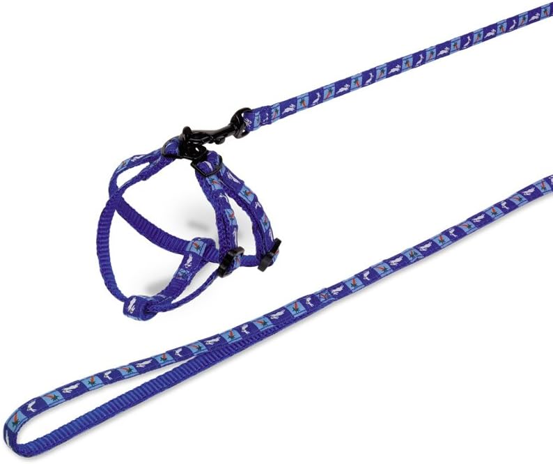 Nobby Set Nylon for Rabbits Carrot, Blue