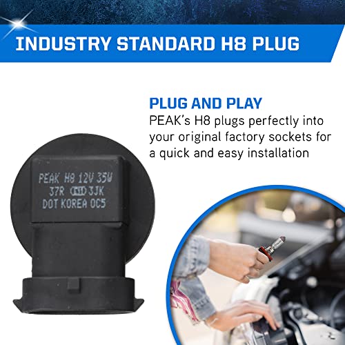 Peak H8 Oe Standard Halogen Replacement Headlight Bulb #TOP4
