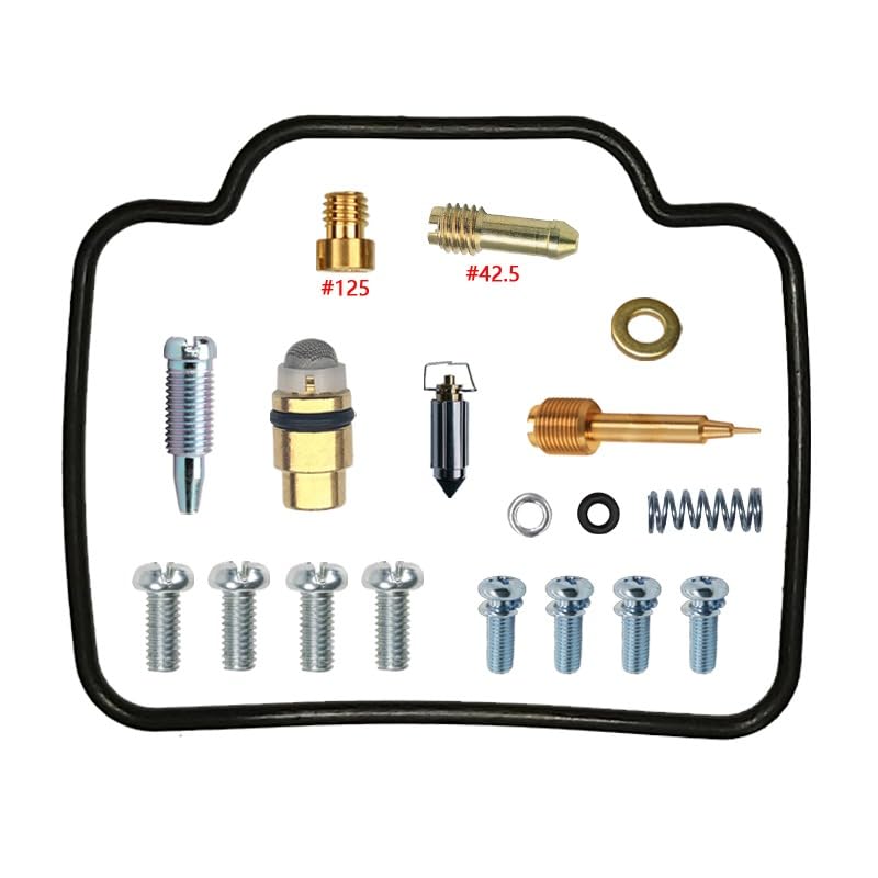 Kit de réparation carburateur YFM350FWB pour résoudre les fuites et le ralenti instable
