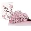 Cherry Blossom Branches in Bloom