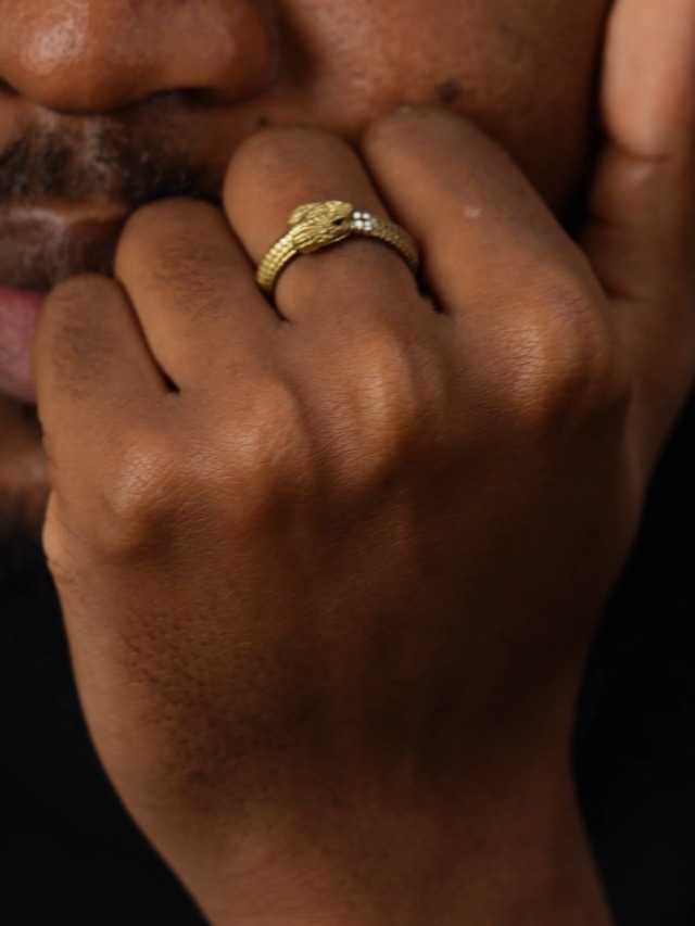 COPPERTIST.WU Ouroboros Ring Brass Snake Serpent Rings Aesthetic