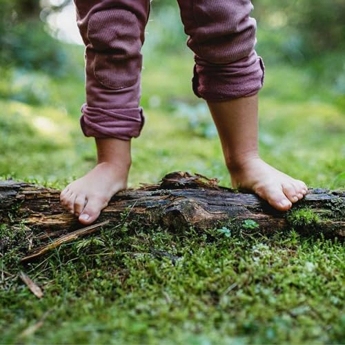 『Barefoot Economics in a world of Hobnailed Boots with storyteller Inez Aponte』のカバーアート