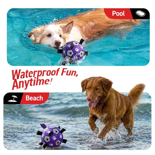 Image of QDAN Dog Toys Soccer Ball with Straps - Dog Water Toy, Puppy Birthday Gifts, Durable Dog Balls for Small Medium Dogs (6 Inch) | 6 Inch Herding Ball for Small Dogs, Puppy Toy, Outdoor Toys Balls to Keep Them Busy, Dog Birthday Gift, 20-40 lbs Dogs