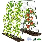 Rankgitter Garten 210cm U Form Rankhilfe Hochbeet Verstellbar Metall Rostfrei Rankbogen für Gurken Tomaten Bohnen Kletterpflanzen Stabiler Pflanzenstütze mit Ranknetz (120CM)