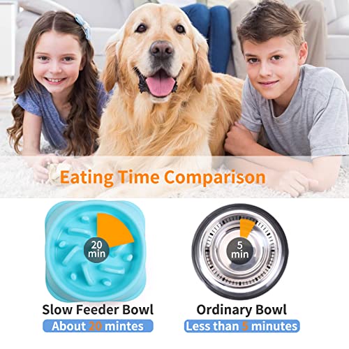 Noyal Slow Feeder Dog Bowls Puzzle Anti-Gulping Interactive Bloat Durable Preventing Choking Healthy Dogs Bowl #TOP1
