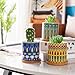 Dsben 3.2 Inch Succulent Plant Pots, Small Mandala Style Flower Ceramic Planter Indoor with Bamboo Tray for Cactus, Herbs, Home, Set of 3 (Plants Not Included)