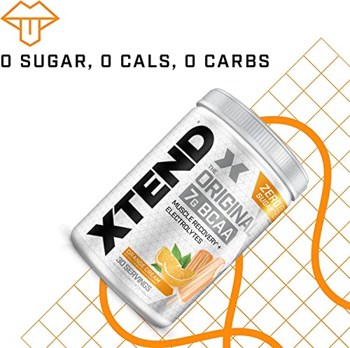 Xtend Original Bcaa Powder Orange Cream | Sugar Free Post Workout Muscle Recovery Drink With Amino Acids | 7G Bcaas For Men & Women | 30 Servings #TOP4