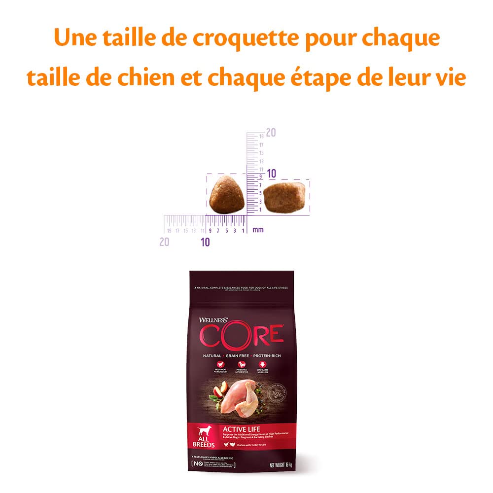 Wellness CORE Active Life 10 kg, Poulet & Dinde – Croquettes Chiens | Pour Chien Actif, Sans Céréales, Naturelles, Hypoallergénique, Riche en protéines et Viande, Energie & Santé Cardiaque