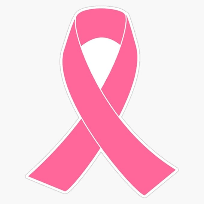 Breast Cancer Awareness Logo Vinyl Waterproof Sticker Decal Car Laptop Wall Window Bumper Sticker 5