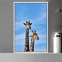 Framed Canvas Wall Art Giraffe Animals Expressive Farmhouse/Country Giraffe Living Room Multicolor Photography - 16x24 inches