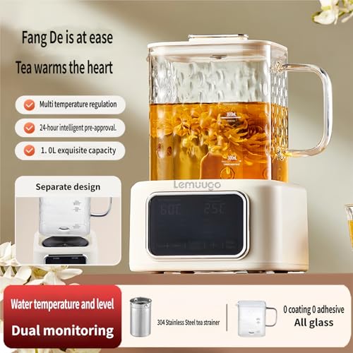 Tetera eléctrica de vidrio 1L con infusor y control digital miniatura 2