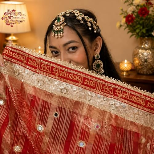 OceanLive red banarasi silk saree in organza silk – image 6